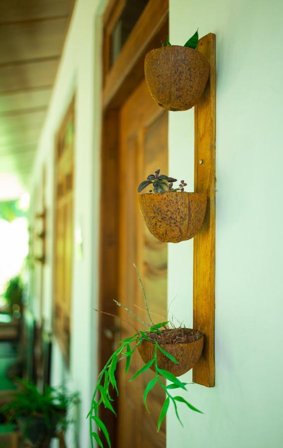 Dambulla Kings Inn ภายนอก รูปภาพ