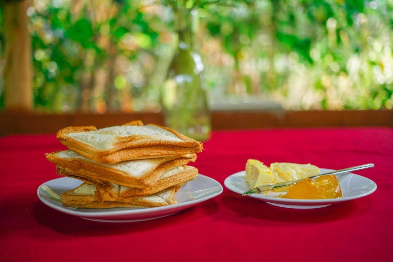 Dambulla Kings Inn ภายนอก รูปภาพ
